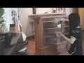 香港古道具家居🪵｜日本百年老店古櫃｜日常染色與保養｜Japanese Antique Home | ASMR Vlog