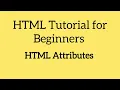 HTML Tutorial For Beginners HTML Attributes Part 5
