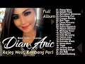 Download Lagu Best Audio Dian Anic