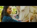 Billy Strings - Love And Regret (Official Music Video)