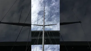Makes me Dizzy 🌉
