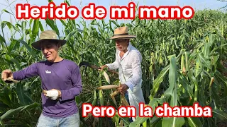 Le hechamos la Vaca con Jaime a esta dobla de Maiz