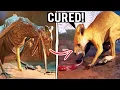 What Happens if You Save Everyone and Cure All Animals? - Zoochosis