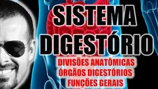 Sistema Digestório - Divisões anatômicas e órgãos digestivos - Anatomia Humana - VideoAula 024