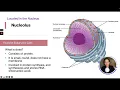 ATI TEAS 7 Science Course Organelles