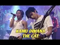 Download Lagu THE CAT - KAMU DIMANA (EXTRAVAGANZA TRANSTV)