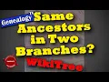 Find Repeating Ancestors in Your Family Tree Using WikiTree Fan Chart