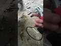 Harbor Freight fuel pump