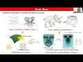 TOP Webinar 24
