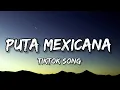 Download Lagu Dj Jeeh Fdc, MC Menor MT \u0026 Yuri Redicopa - Puta Mexicana (Lyrics) Então toma então toma[TIKTOK SONT]
