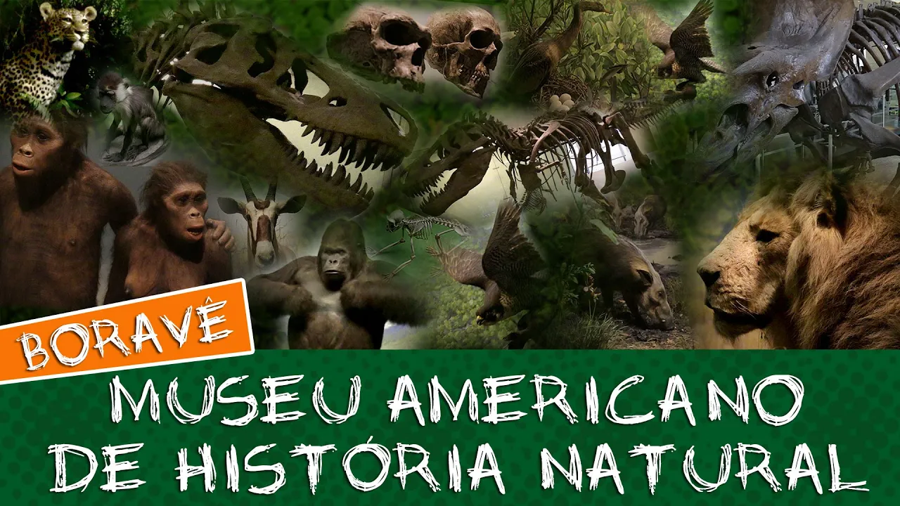 Fóssil de tiranossauro no Museu Americano de História Natural #Boravê ????Manual do Mundo