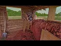 Download Lagu Man Builds 1800s WESTERN Log Cabin Using Traditional Techniques | Full Process @WesternPioneer