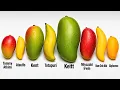 Every Mango Type Explained