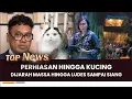 Download Lagu 🔴Diserbu Massa! PERHIASAN SRI MULYANI HINGGA KUCING SULTAN KOLEKSI  UYA DIJARAH Sampai Ludes