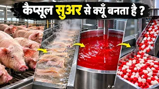 फैक्टरी मे कैप्सूल सुअर से कैसे बनता देखिये पूरी सच्चाई ?| Gelatine & Capsule Manufacturing Process 