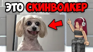 САМЫЕ ЖУТКИЕ ТИК ТОКИ СО СКИНВОЛКЕРАМИ (6 часть)