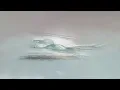 Andrea Vanzo - a r i a (Official Visualizer)