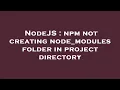 NodeJS npm not creating node - modules folder in project directory