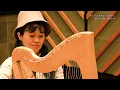 【クロノ・トリガー】遥かなる時の彼方へ【アコーディオン & アイリッシュハープ】