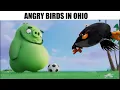 normal day in angry birds ohio