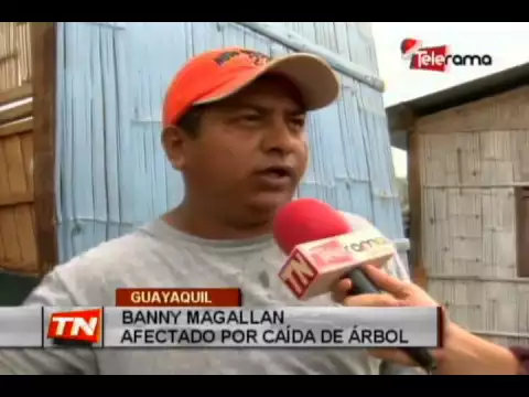 Padre de familia y niña mueren tras caer árbol sobre vivienda