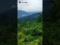 Download Lagu langu minang