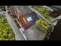 Grape Weighing - Smart Scales with software