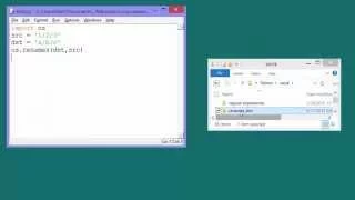 Python How os renames Works