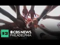 How Ewing High School in N J has built an elite athletic program for students with special needs