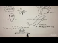 What is Evolution