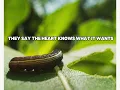 I Don’t Wanna Move On [Lyric Video]