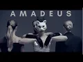 Download Lagu Rock Me Amadeus (Falco) - AMADEUS  Electric Quartet