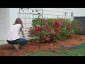 Yardlink Decorative Garden Fence Features