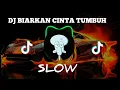 Download Lagu DJ BIARKAN CINTA TUMBUH X DJ KARENA SU SAYANG