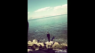 موسيقى الصقر كامله معزوفة لايك اشتراك بالقناه ليصلك كل جديد اكسبلور  موسيقى الصقر كامله معزوفة لايك اشتراك بالقناه ليصلك كل جديد اكسبلور