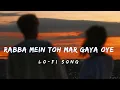 Download Lagu Rabba Mein Toh Mar Gaya Oye Lofi Song || Slowed \u0026 Reverb || Shahid Kapoor \u0026 Sonam Kapoor