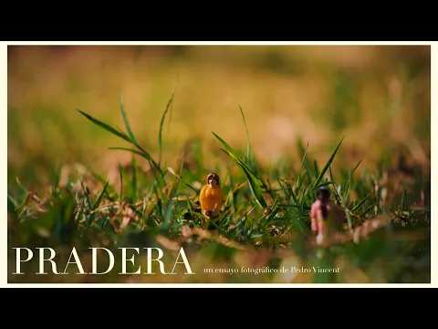 Pradera | Un ensayo fotográfico de Pedro Vincent