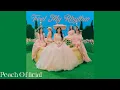 Download Lagu Red Velvet 레드벨벳 ‘Feel My Rhythm’ (Official Instrumental/99%)