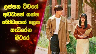  ending explained sinhala lokki recaps