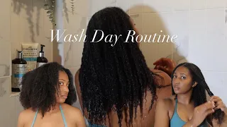 Curlsmith Detox Microbiome Scalp System | Wash Day Routine