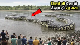 देखोगे तो पागल हो जाओगे | 6 biggest snakes in the world | Amazon forest snakes | anaconda