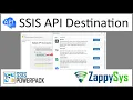 SSIS API Destination - Write or lookup data from API Data Sources using predefined Connector File