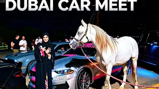 Saturday night Dubai Car Meet 2026 | Modified Mustangs & Sports Cars 