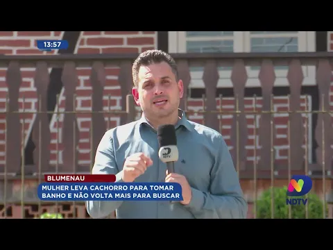 Blumenau: mulher leva cachorro para tomar banho e não volta mais para buscá-lo