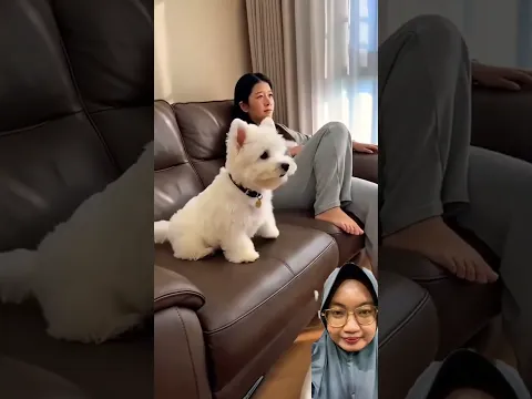 LOMPAT DI KOLAM RENANG BUATAN‼️#lucu #comedy #funny