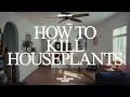 Spacey Jane - How to Kill Houseplants (Official Visualizer)