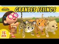 Download Lagu Grandes Felinos Episodio Compilación (Español) - Leo, El Explorador | Animación - Familia - Niños