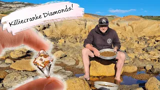 E135 – Diamond Fossicking at Killiecranke, Flinders Island