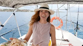 A Fast Surprise For Our Slow Boat | Beau and Brandy Sailing