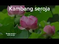 Lagu Kembang Seroja ( Bunga seroja versi bahasa banjar ) @idugahwa 